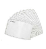 Standard Pm 2.5 Mask Filters -30 pack