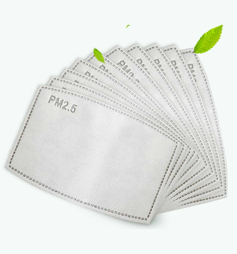 Standard Pm 2.5 Mask Filters -30 pack